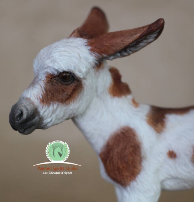 Pimprenelle du Clos du Rohan