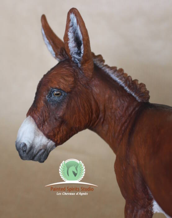 Cannelle du Clos du Rohan