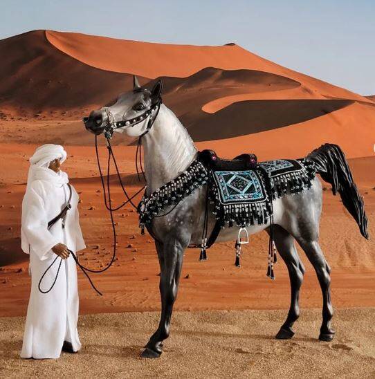 Al Shatan du Clos du Rohan - Photo Christèle A.