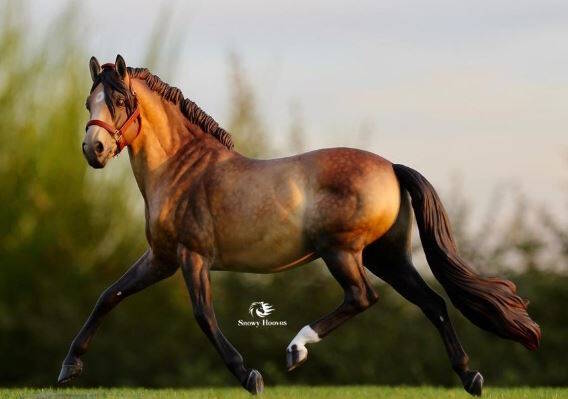 Mendoza du Clos du Rohan - Photo Maëva L.