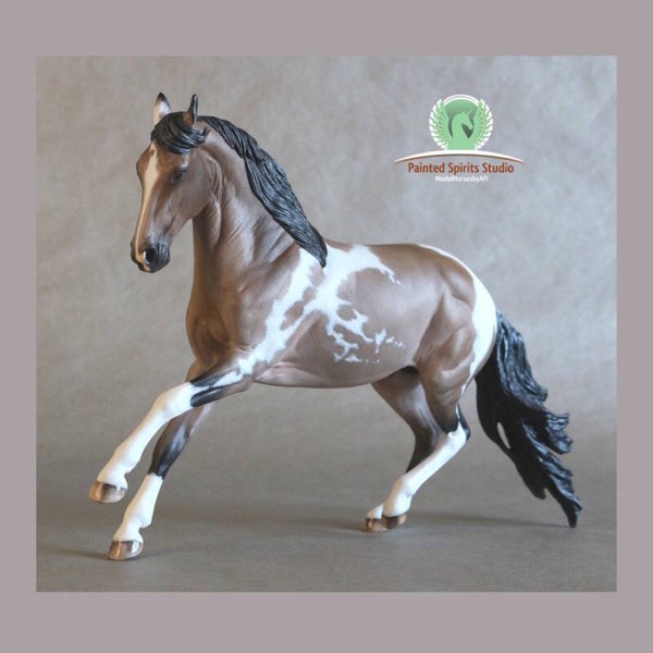 Cendre du Clos du Rohan - CM Breyer Criollo