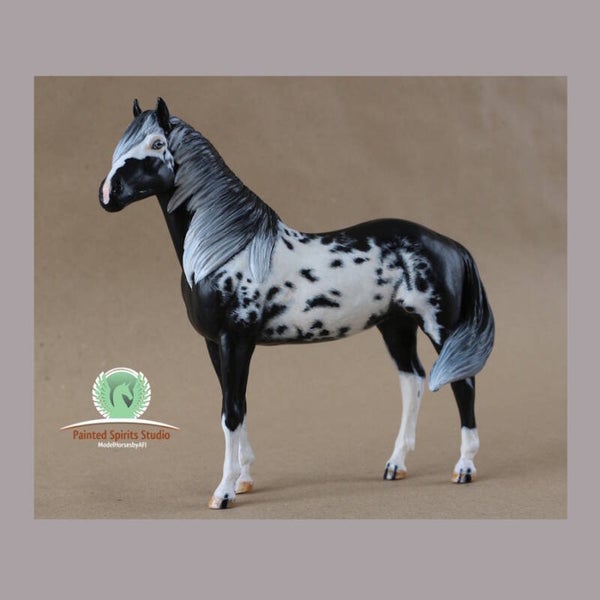Paimpol du Clos du Rohan - CM Breyer Duchess