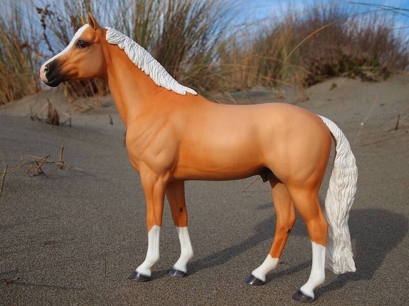 Casanova - Photo Céline M.