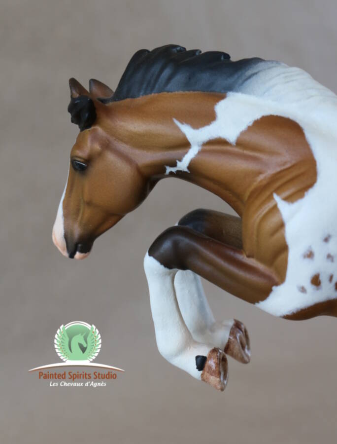 Transformation et peinture par Sue Kern