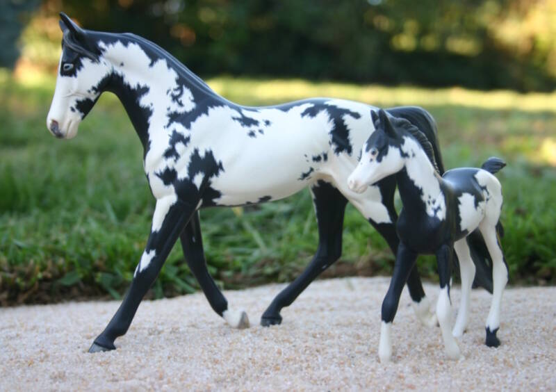 Byron &amp; Astrid - Photo Christelle F.