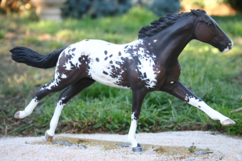 Saskatchewan Dancer - CM Breyer Ruffian 