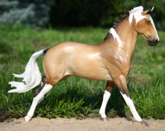 Laïghean Limerick - Photo Christelle F.