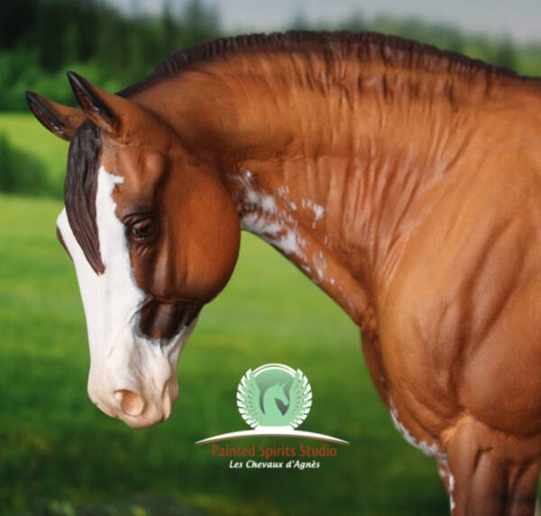 Daytona du Clos du Rohan - Résine Dos Brio