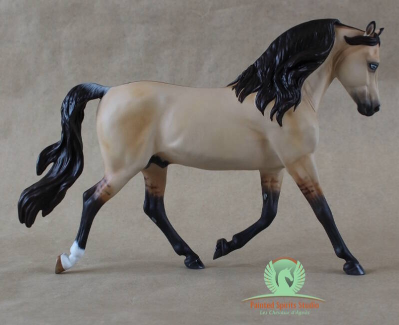 Diaz Delight du Clos du Rohan - CM Breyer Morgan Stallion