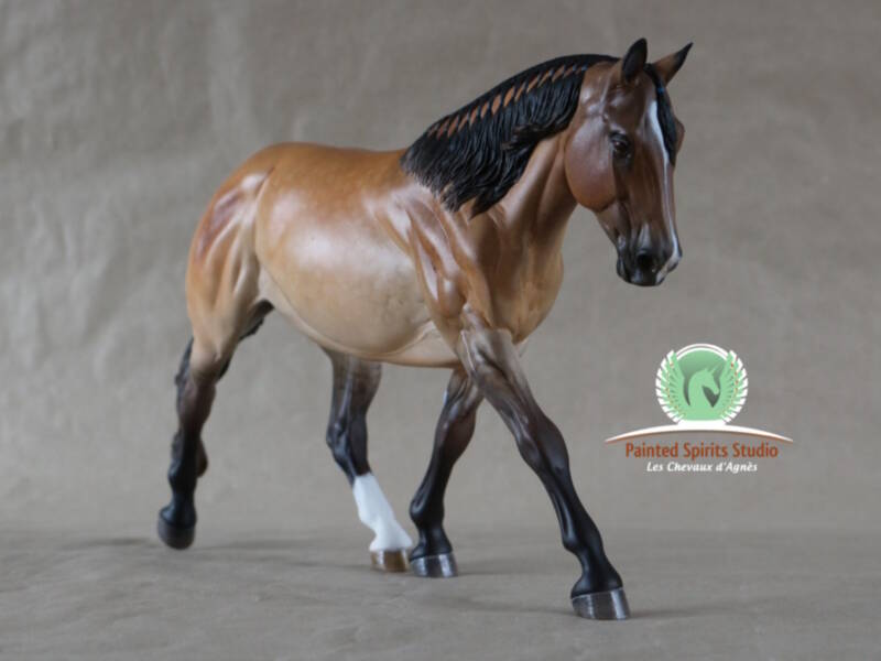 Dinero du Clos du Rohan - Résine Heza Peppy Potater 