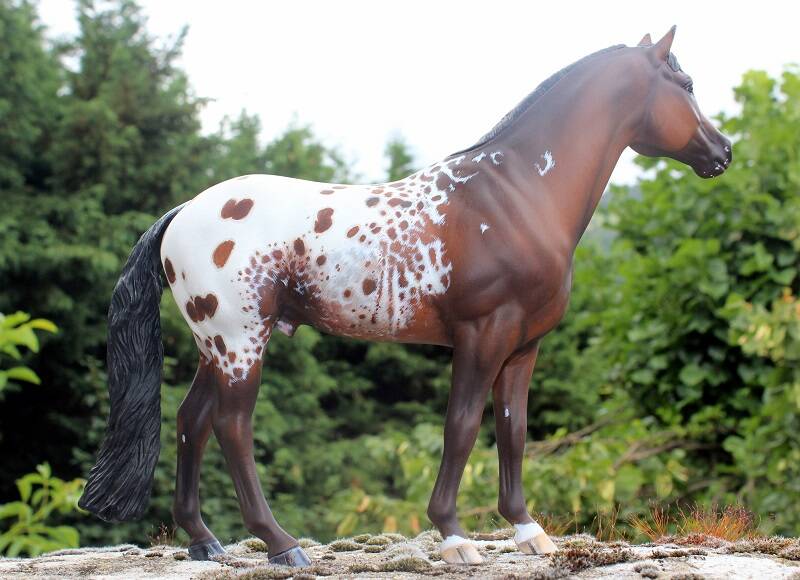 Dream of Happiness - CM Breyer Idocus