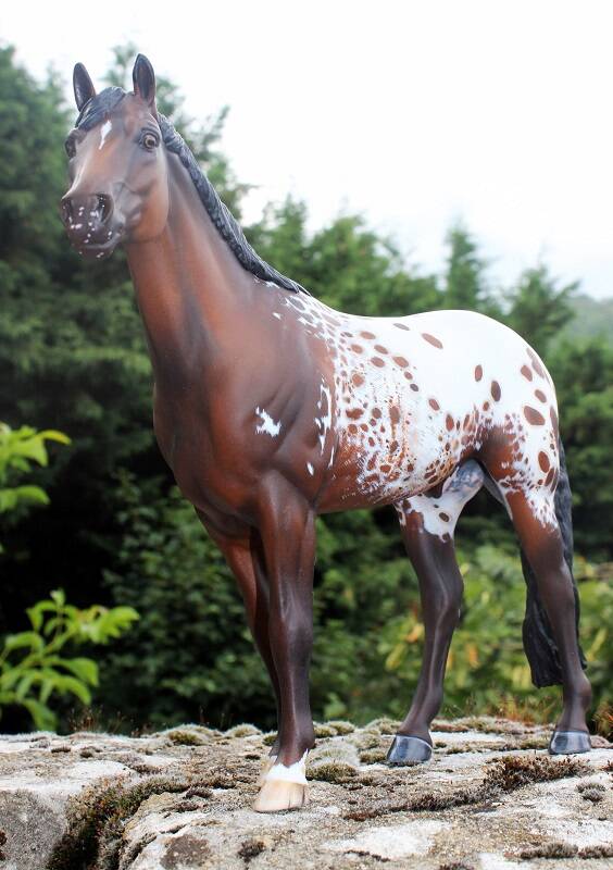 Dream of Happiness - Photo Nadège P.