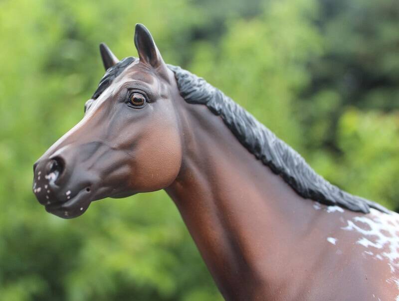 Dream of Happiness - Photo Nadège P.