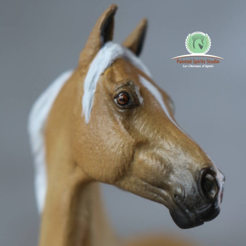 Eldorado du Clos du Rohan