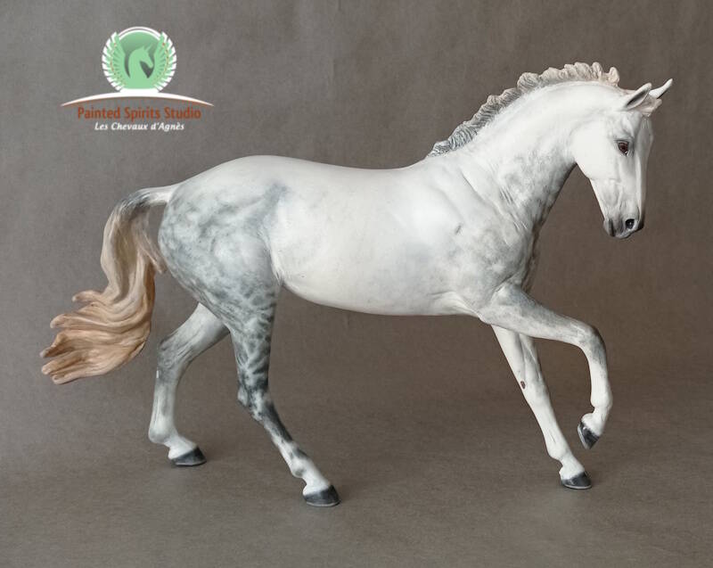 Commande - CM Breyer Catch Me