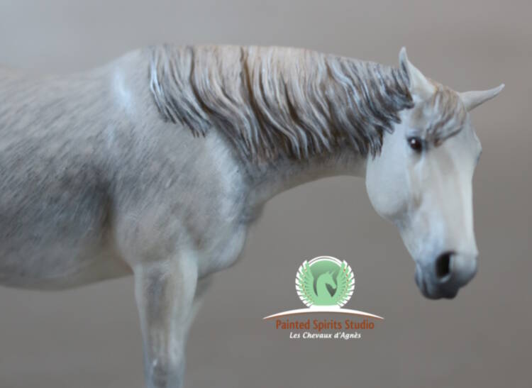 Gale du Clos du Rohan