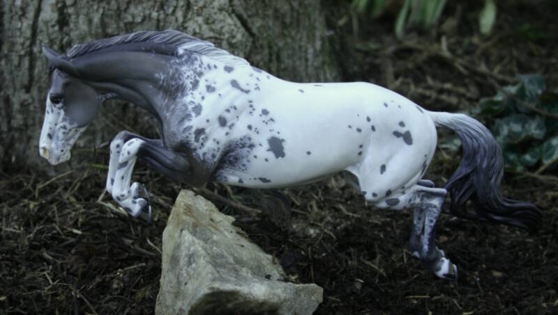 Harrystide du Clos du Rohan - CM Breyer Bristol