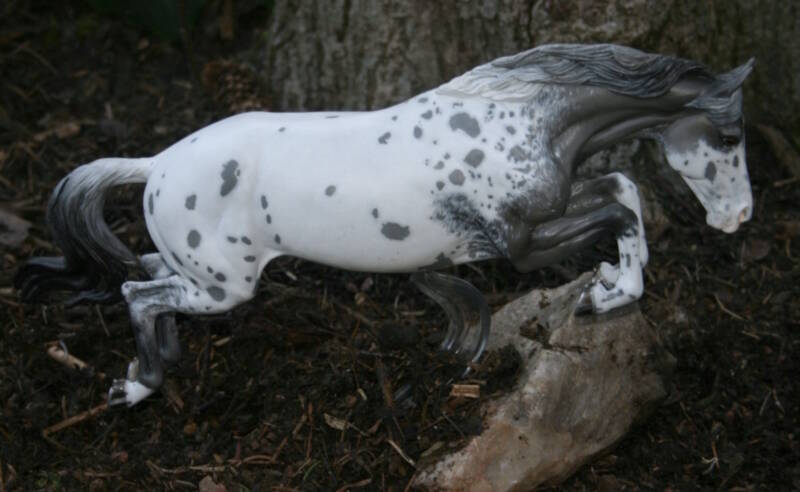 Harrystide du Clos du Rohan - Photo Christelle F.