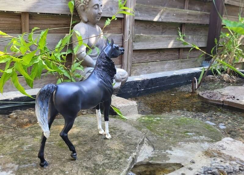 Aurora du Clos du Rohan - Photo Nathalie R.