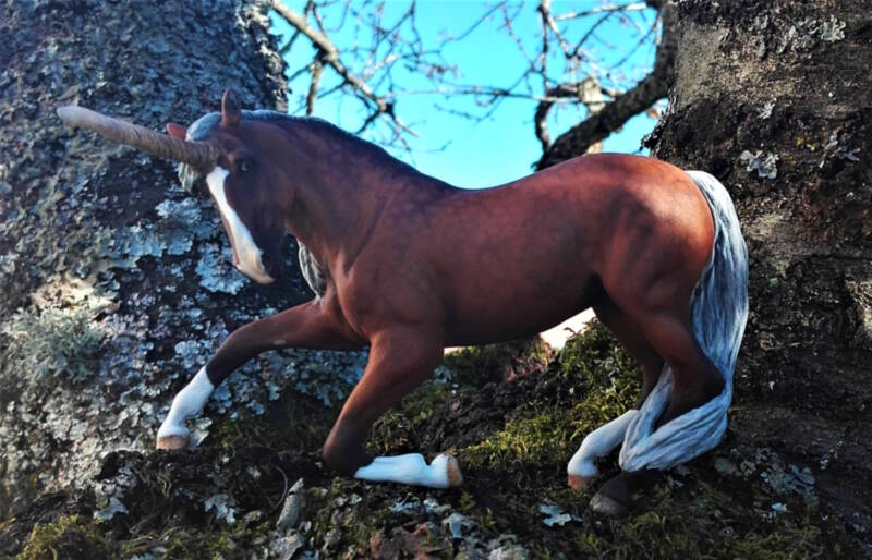 Illiade - Photo Christelle F.