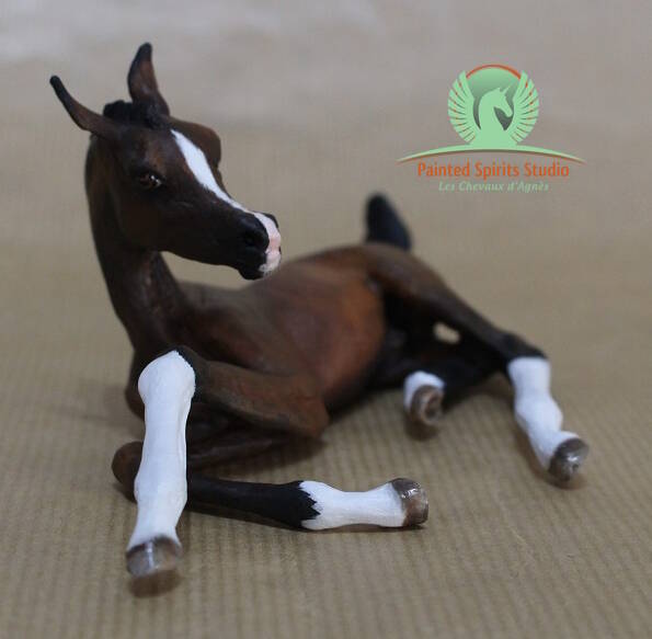 Darjeeling du Clos du Rohan - Résine Bidjar