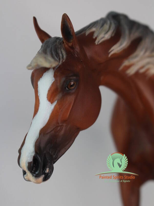 Imperial Mabrouk head