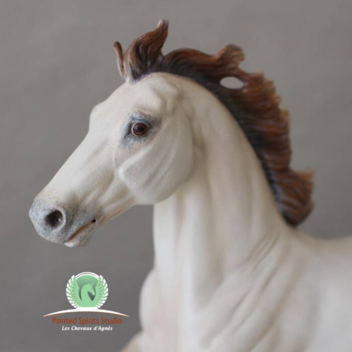 Kaziranga du Clos du Rohan