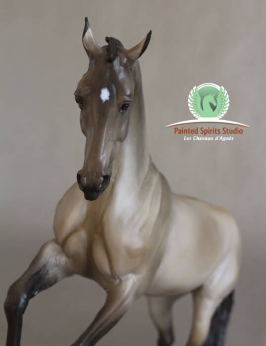 Laudanum du Clos du Rohan