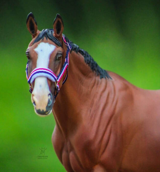 Magnum - Photo Angela A.