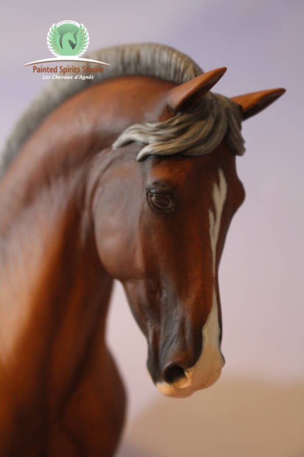 Marjan du Clos du Rohan