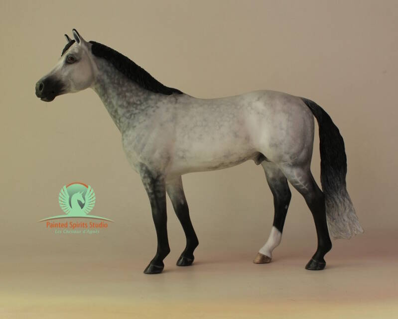 Mynntane - CM Breyer Idocus