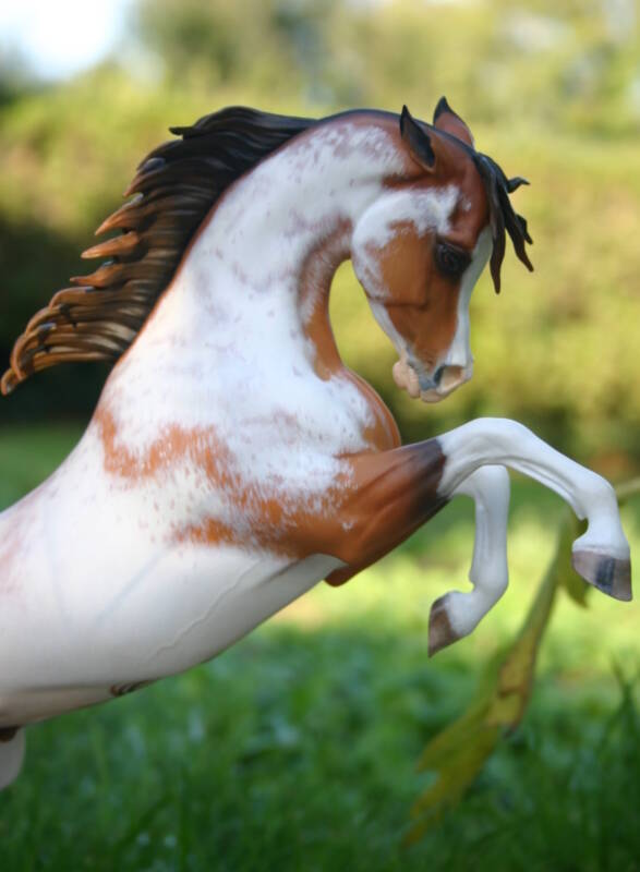 Mystic Phoenix - Photo Christelle F.