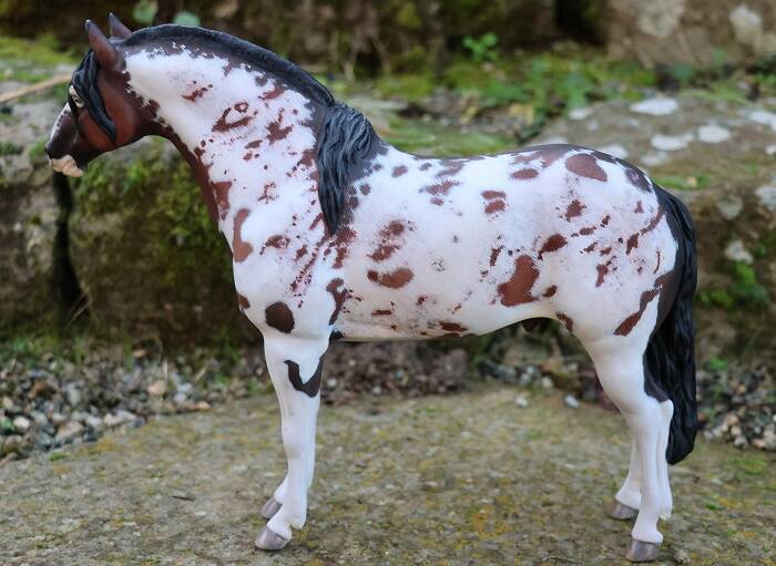 San Coronado - Photo Nadège P.