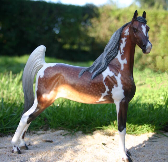 Norma di Liguria - Photo Christelle F.