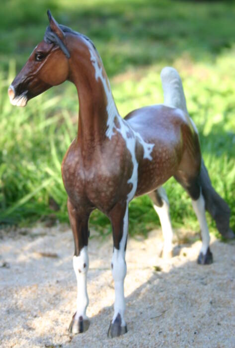 Norma di Liguria - Photo Christelle F.