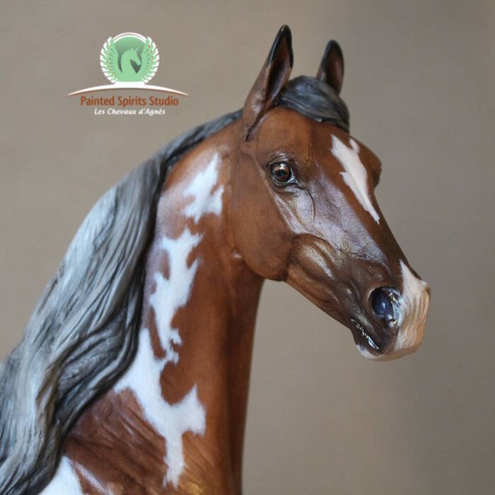 Norma di Liguria - Résine Moonshine Seunta