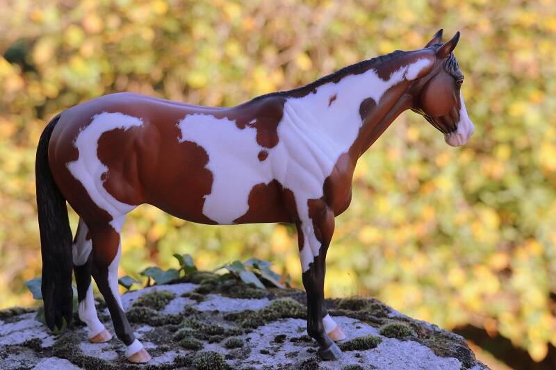 Oneida - Photo Nadège P.