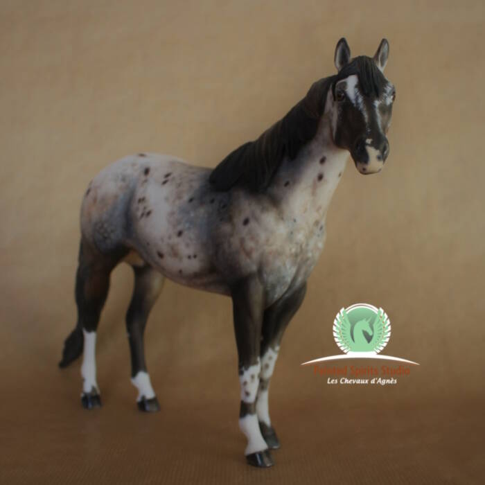 Orénoque - CM Peter Stone ISH