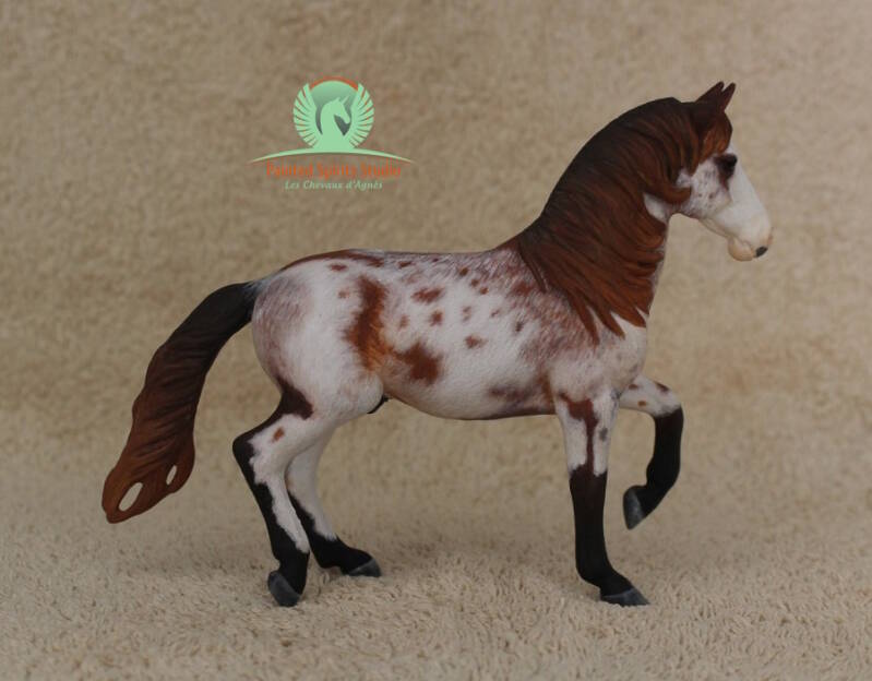 Orlando - CM Collecta 