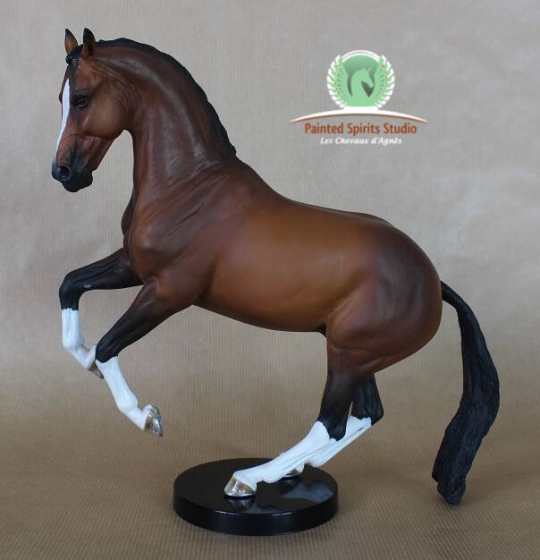 Ouragan du Clos du Rohan - CM Breyer Valegro