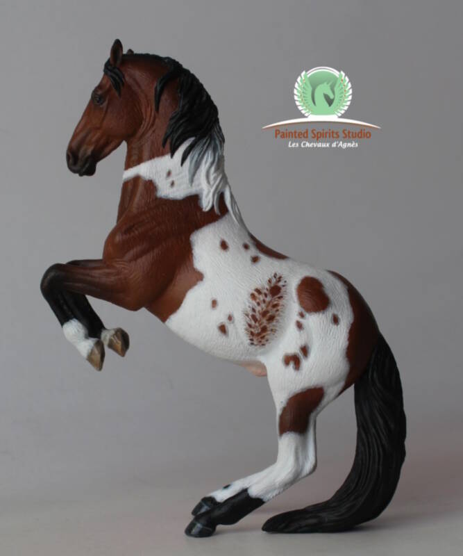 Priam - CM Collecta Donation LS Bourges 2024