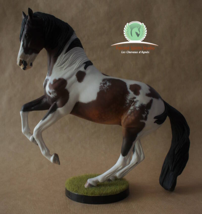 Renegade du Clos du Rohan - CM Breyer Valegro