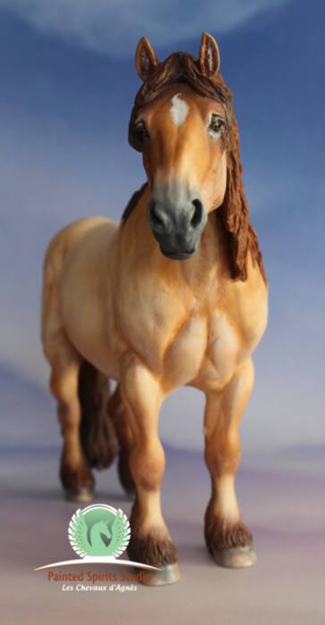 Rooibos du Clos du Rohan