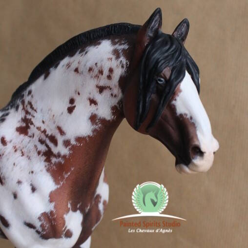 San Coronado - Résine Alonzo Seunta