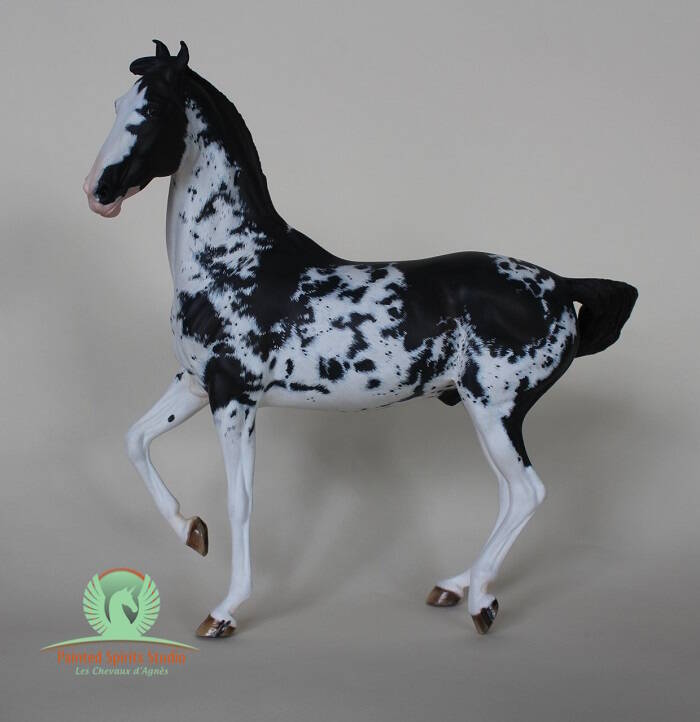 Sharam - CM Breyer Marwari