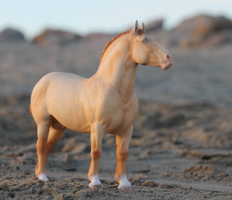 Sitka du Clos du Rohan - Photo Maëva L.