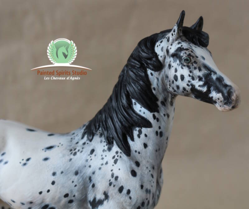 Transformation et peinture par moi