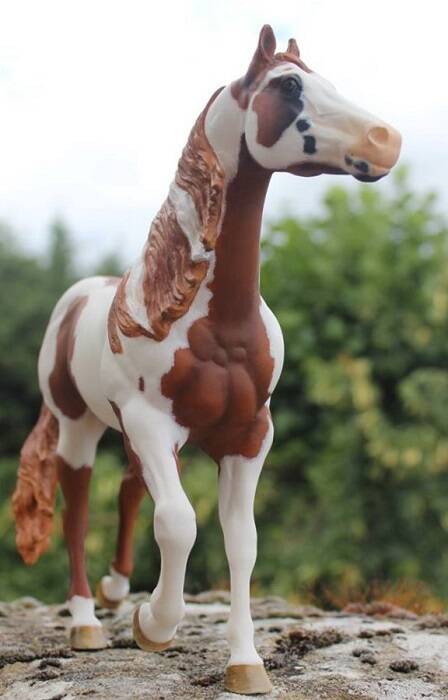 Spirit Fire - Photo Nadège P.