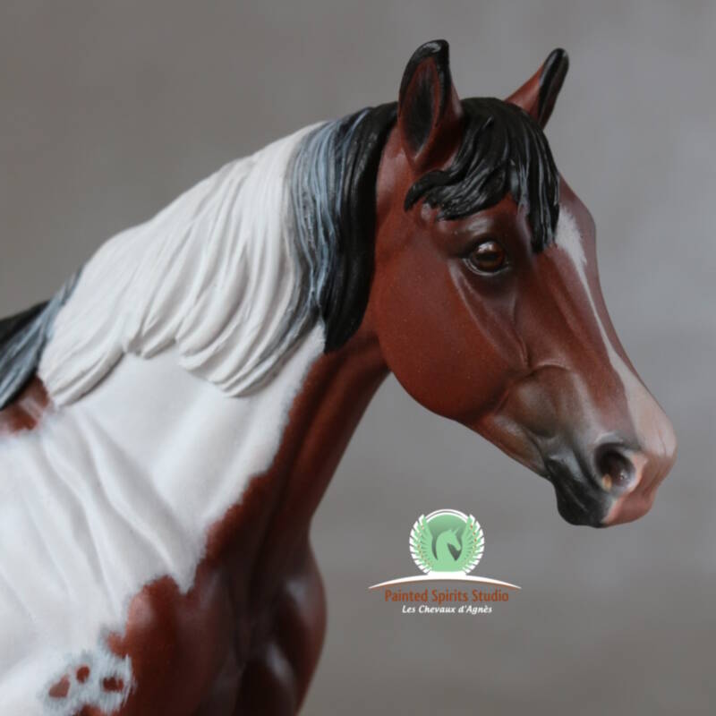 Titane Sky du Clos du Rohan