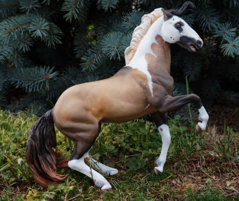 Torréon Shadow - Photo Christelle F.